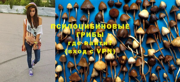 прущие крисы Алзамай
