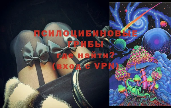 не бодяженный Алексин